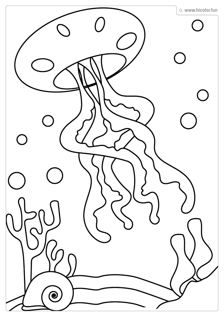 ANIMAIS COLORIR IMPRIMIR