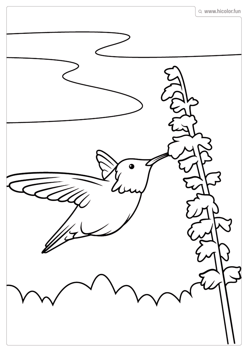 ANIMAIS DIVERSOS PARA COLORIR