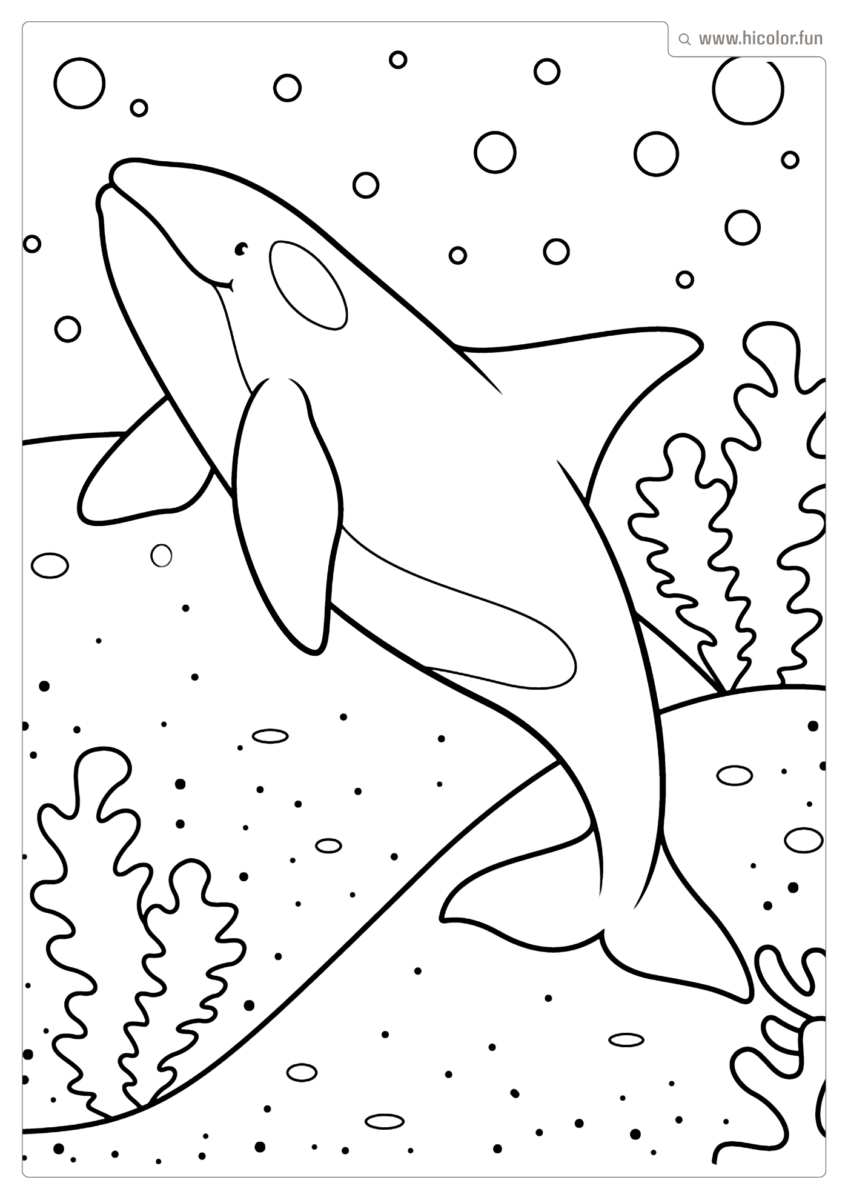 ANIMAIS MARINHOS DESENHOS PARA COLORIR