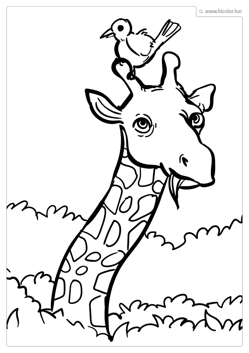 ANIMAIS SAFARI PARA IMPRIMIR E COLORIR