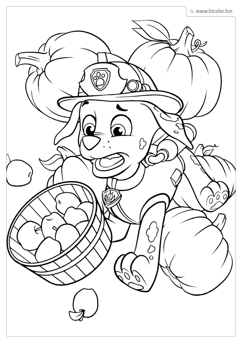 COLORIR A PATRULHA CANINA