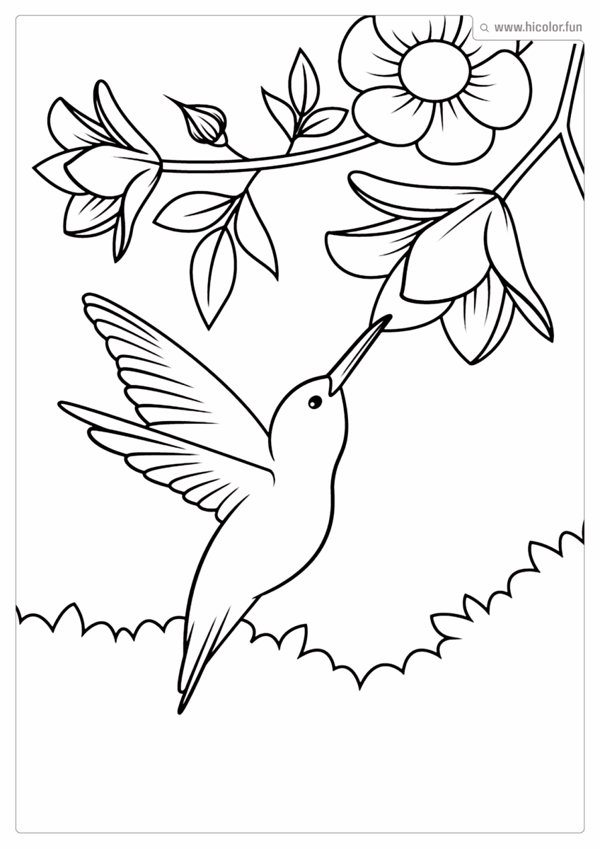 DESENHO ANIMAIS PINTAR