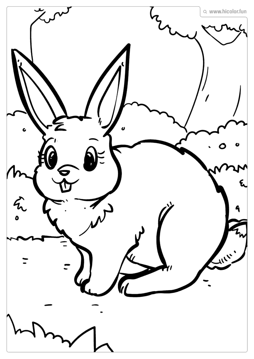 DESENHO DE COELHO PARA PINTAR E IMPRIMIR