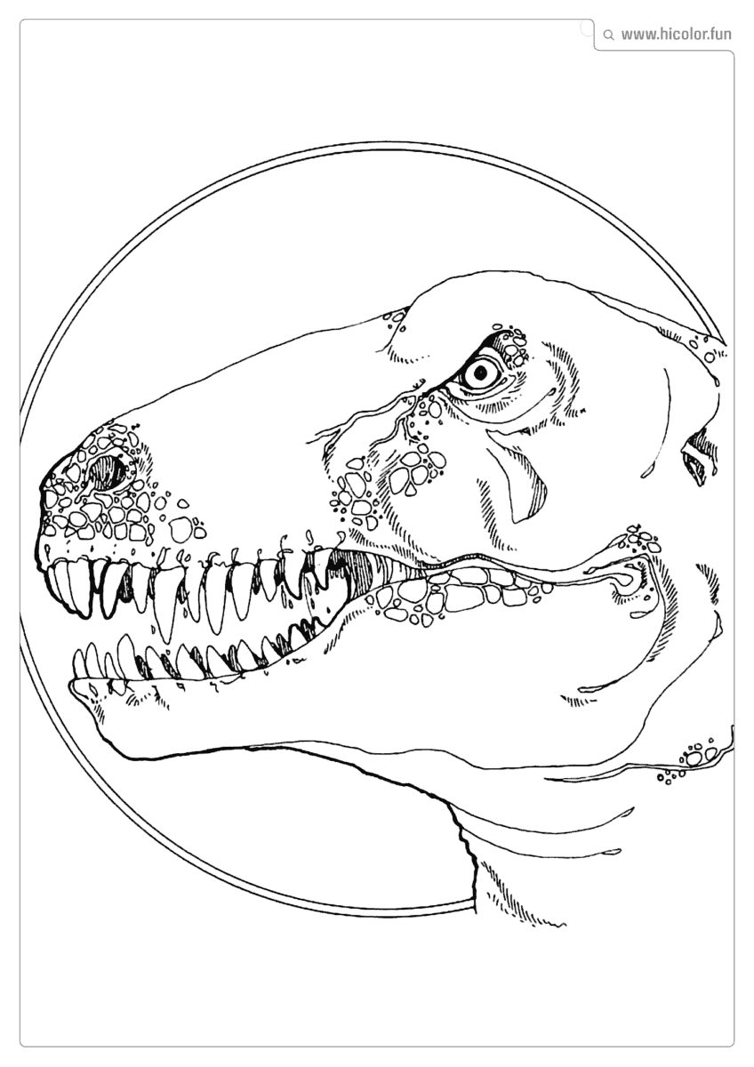 DESENHO DE DINOSSAURO PARA COLORIR CABEçA DE T REX PARA IMPRIMIR