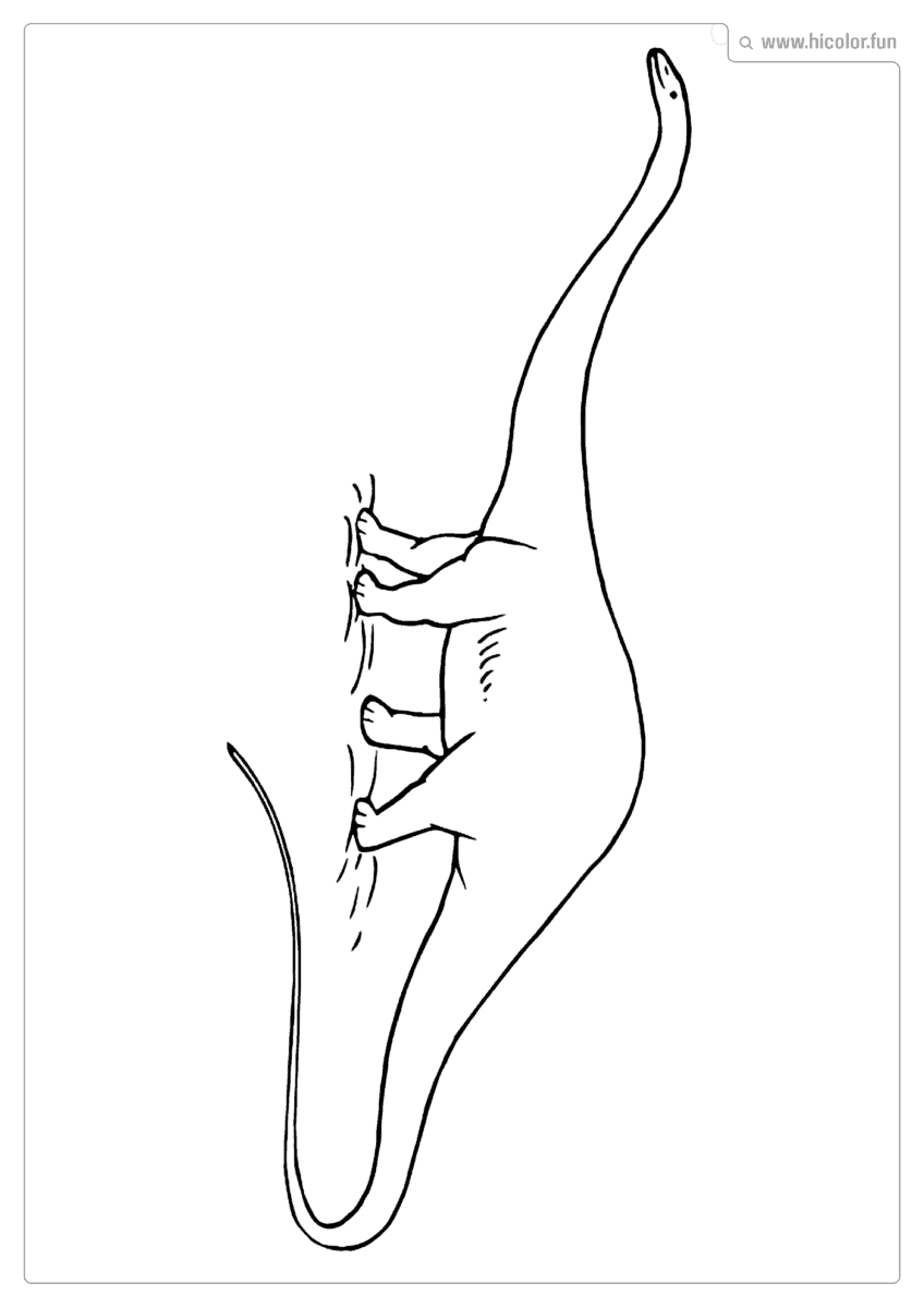 DESENHO DE DINOSSAURO PARA COLORIR PESCOçUDO PARA IMPRIMIR