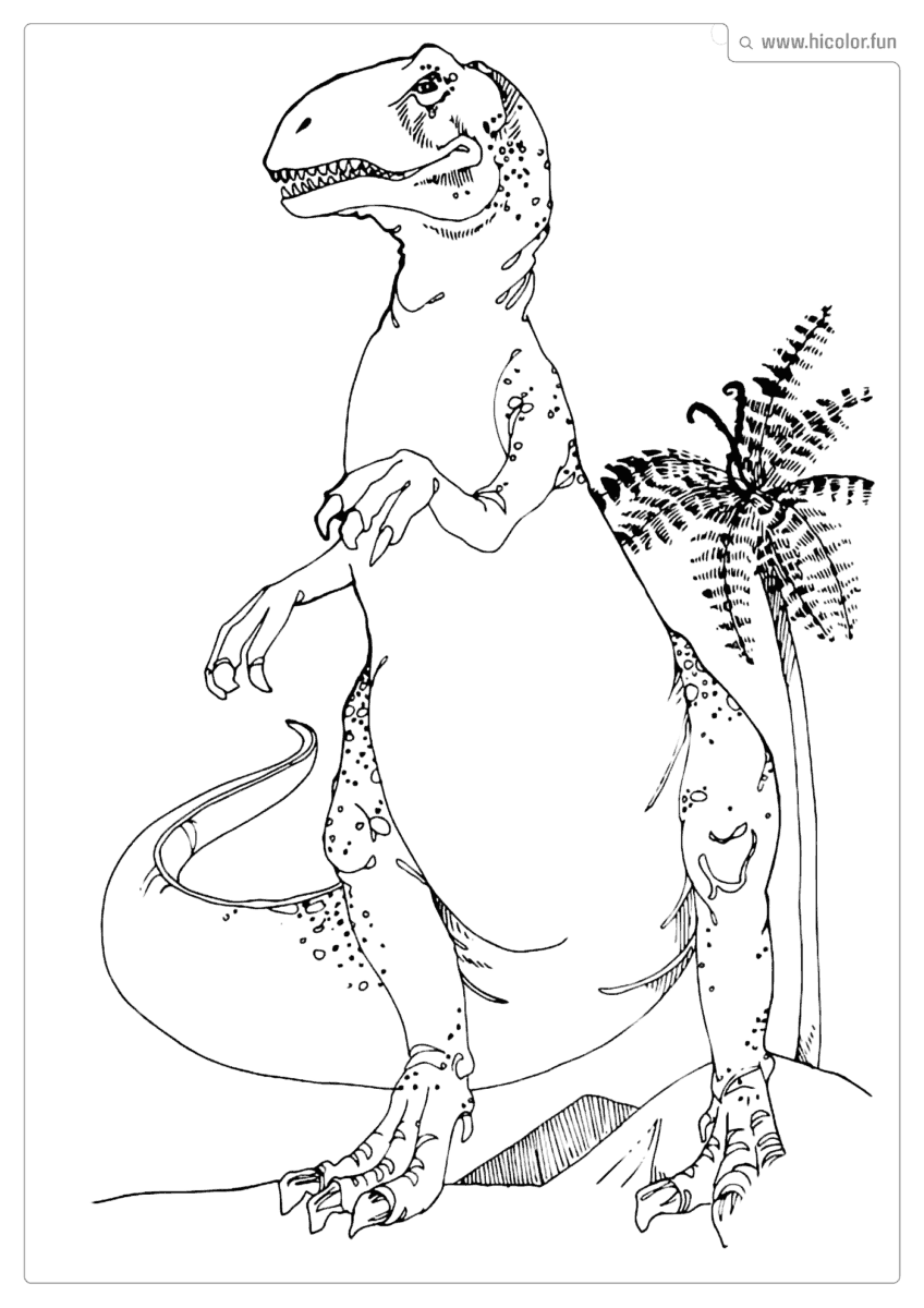DESENHO DE DINOSSAURO PARA COLORIR T REX PARA IMPRIMIR