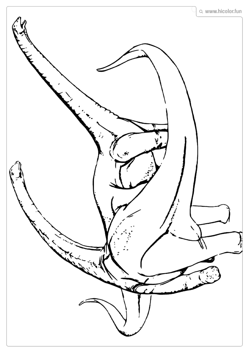 DESENHO DE DINOSSAURO PARA COLORIR VARIOS BRAQUIOSSAUROS PARA IMPRIMIR