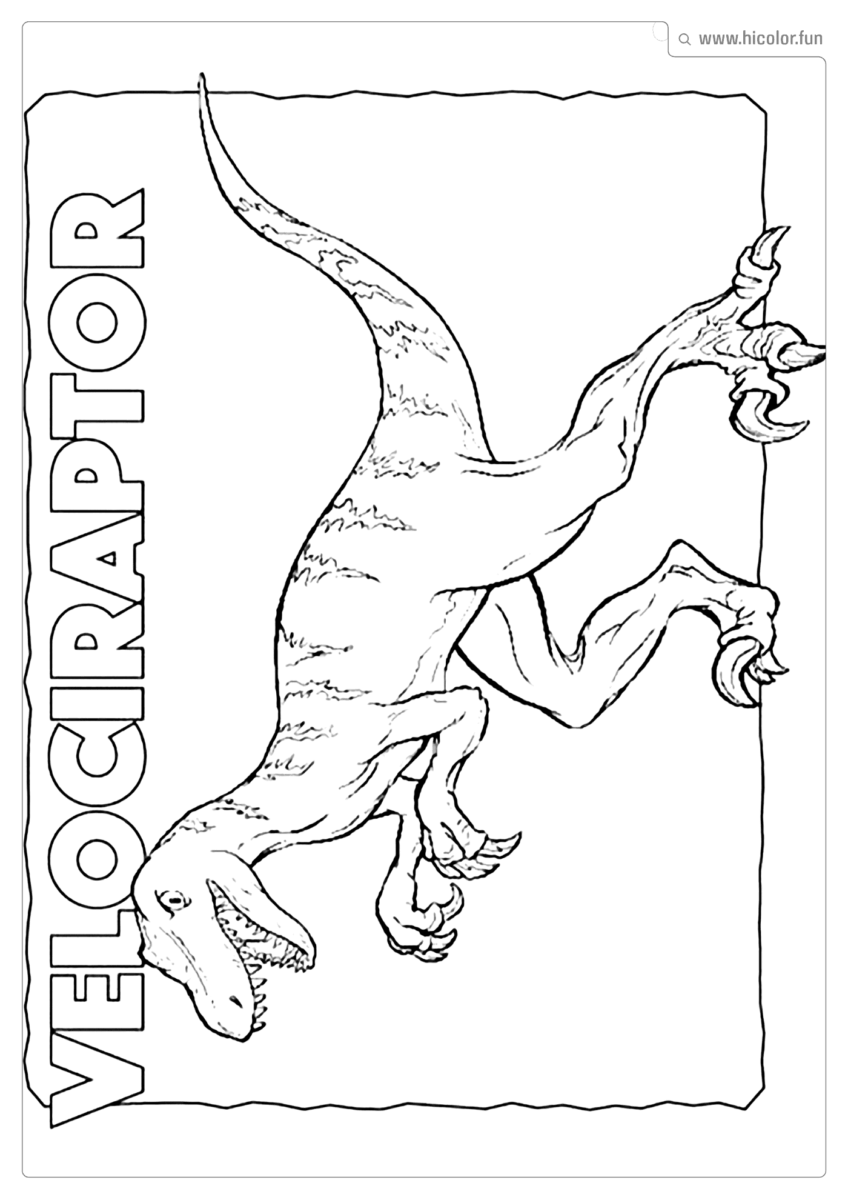 DESENHO DE DINOSSAURO PARA COLORIR VELOCIRAPTOR COM NOME PARA IMPRIMIR