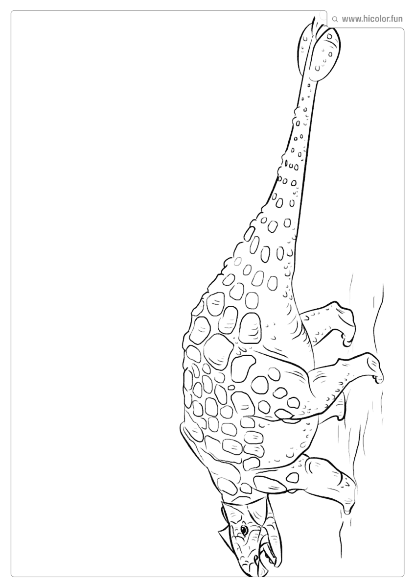 DESENHO DE DINOSSAURO PARA COLORIR