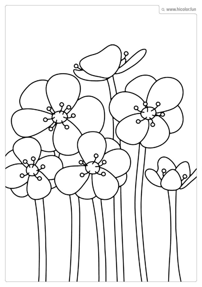 DESENHO DE FLOR PARA COLORIR FLORES DE JARDIM PARA IMPRIMIR