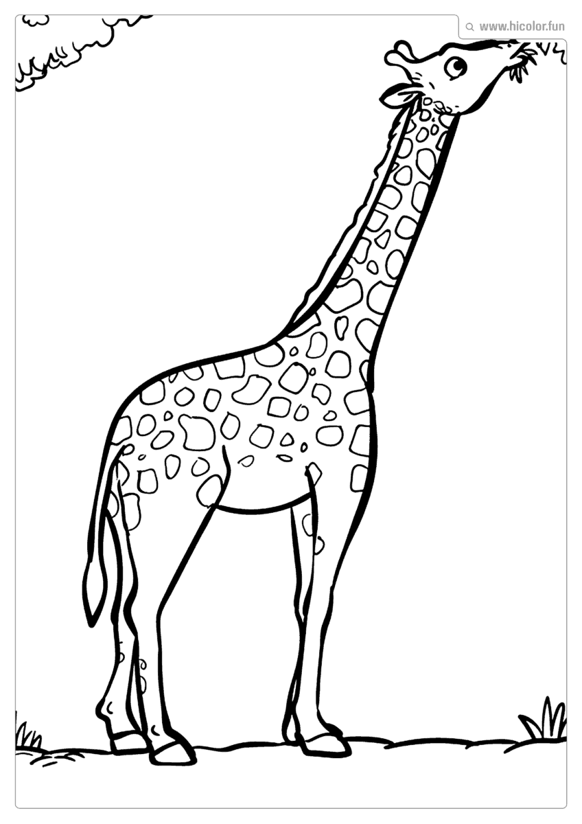 DESENHO DE GIRAFA PARA IMPRIMIR