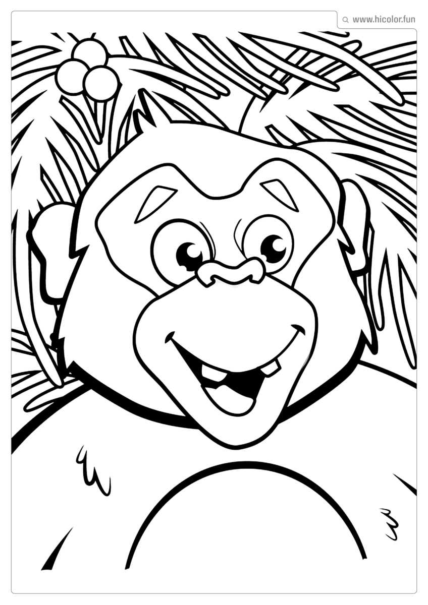 DESENHO DE MACACO PARA PINTAR