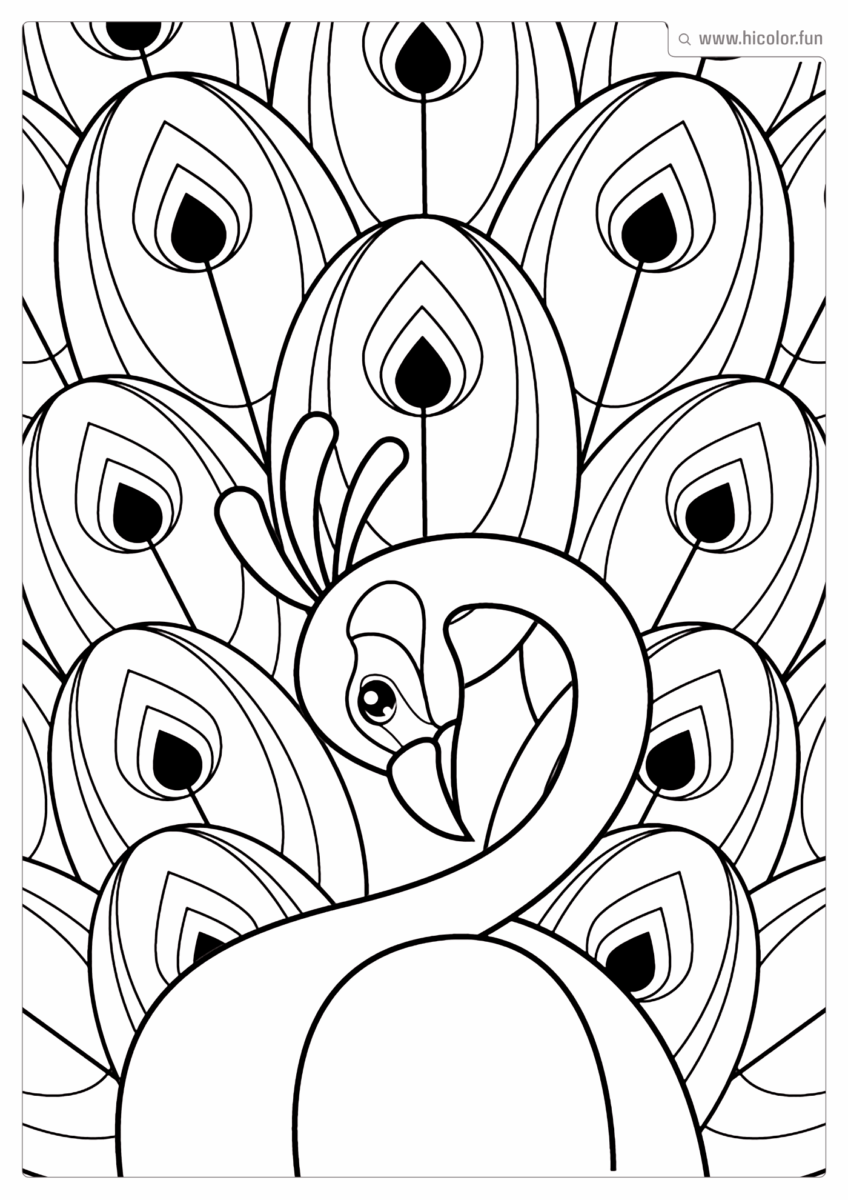 DESENHO DE PAVãO PARA IMPRIMIR E COLORIR