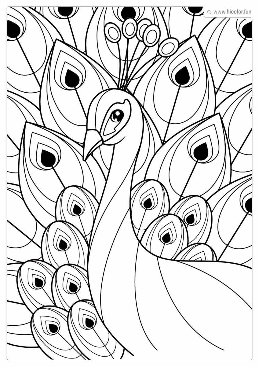 DESENHO DE PAVãO PARA IMPRIMIR