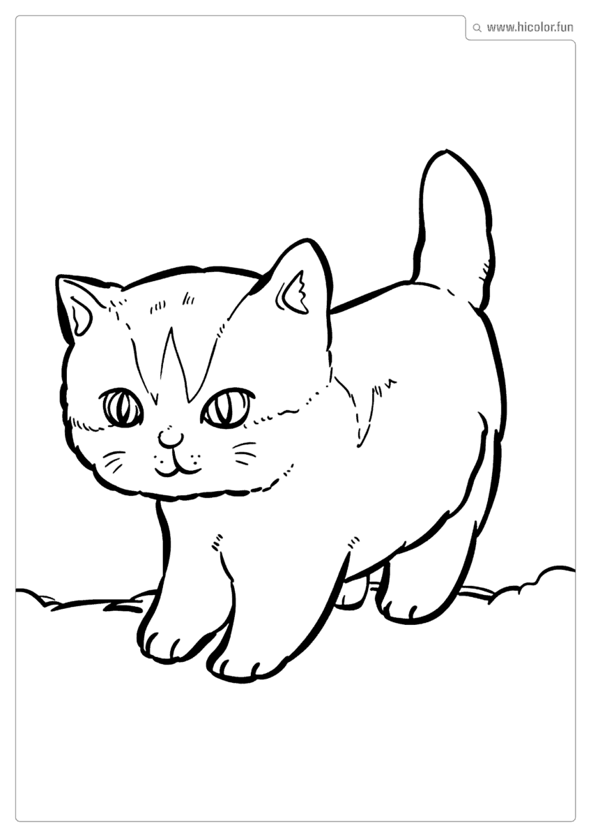 DESENHO GATINHO PARA COLORIR
