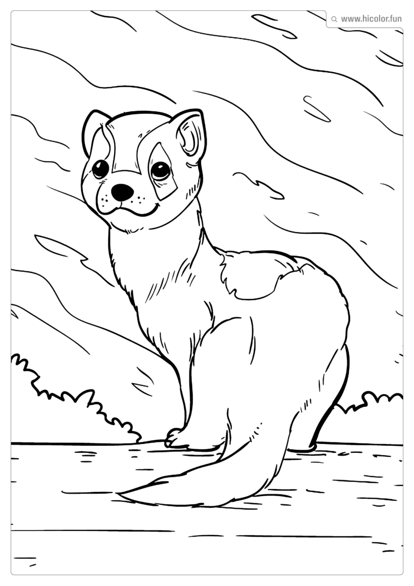 DESENHOS DE ANIMAIS SELVAGENS PARA COLORIR