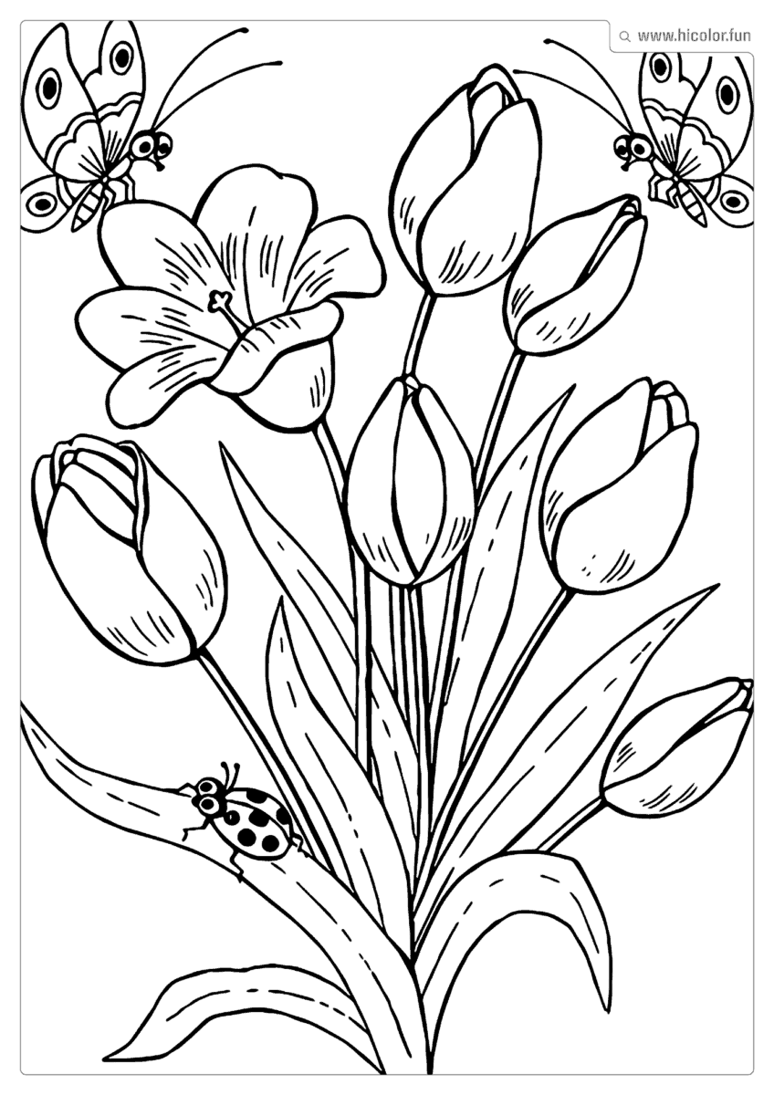 DESENHOS PARA COLORIR FLORES E BORBOLETAS