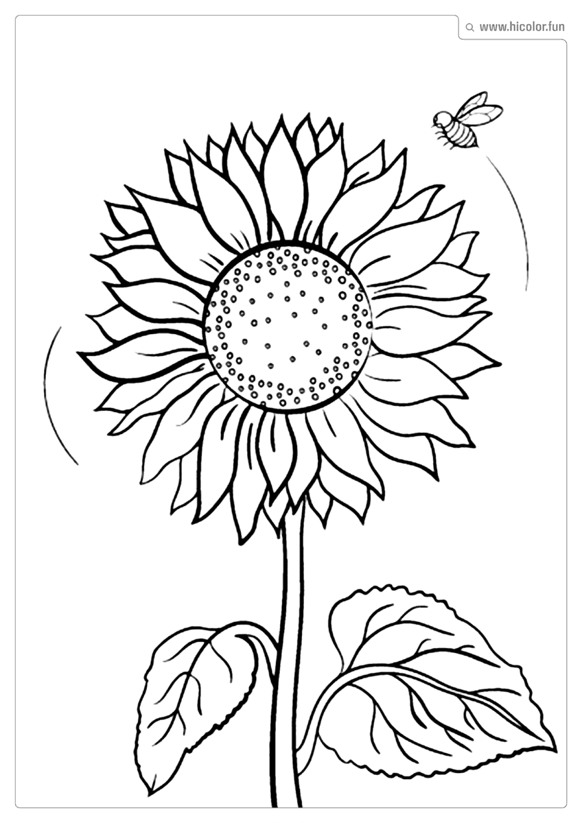 GIRASSOL PARA IMPRMIR