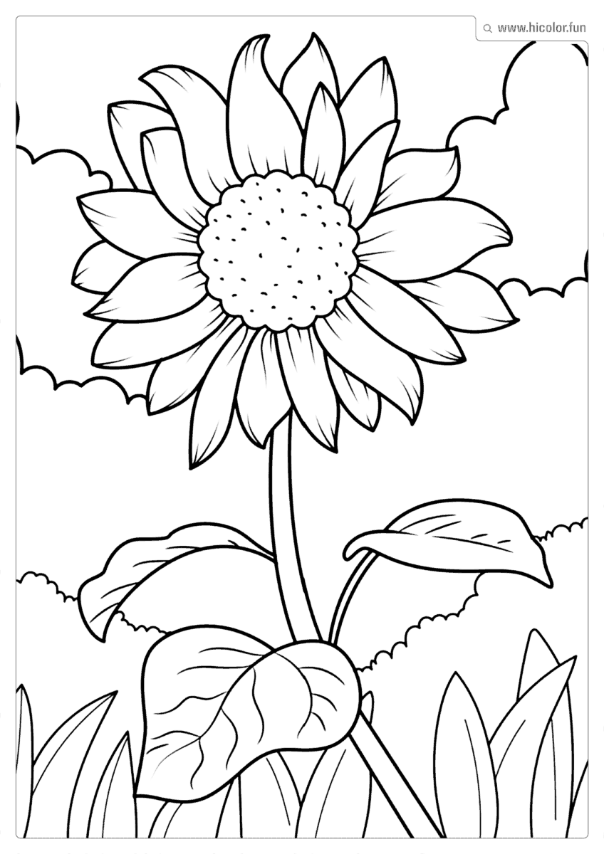 GIRASSOL PARA PINTAR