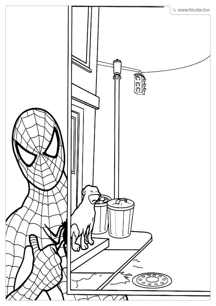 HOMEM ARANHA COLORIR