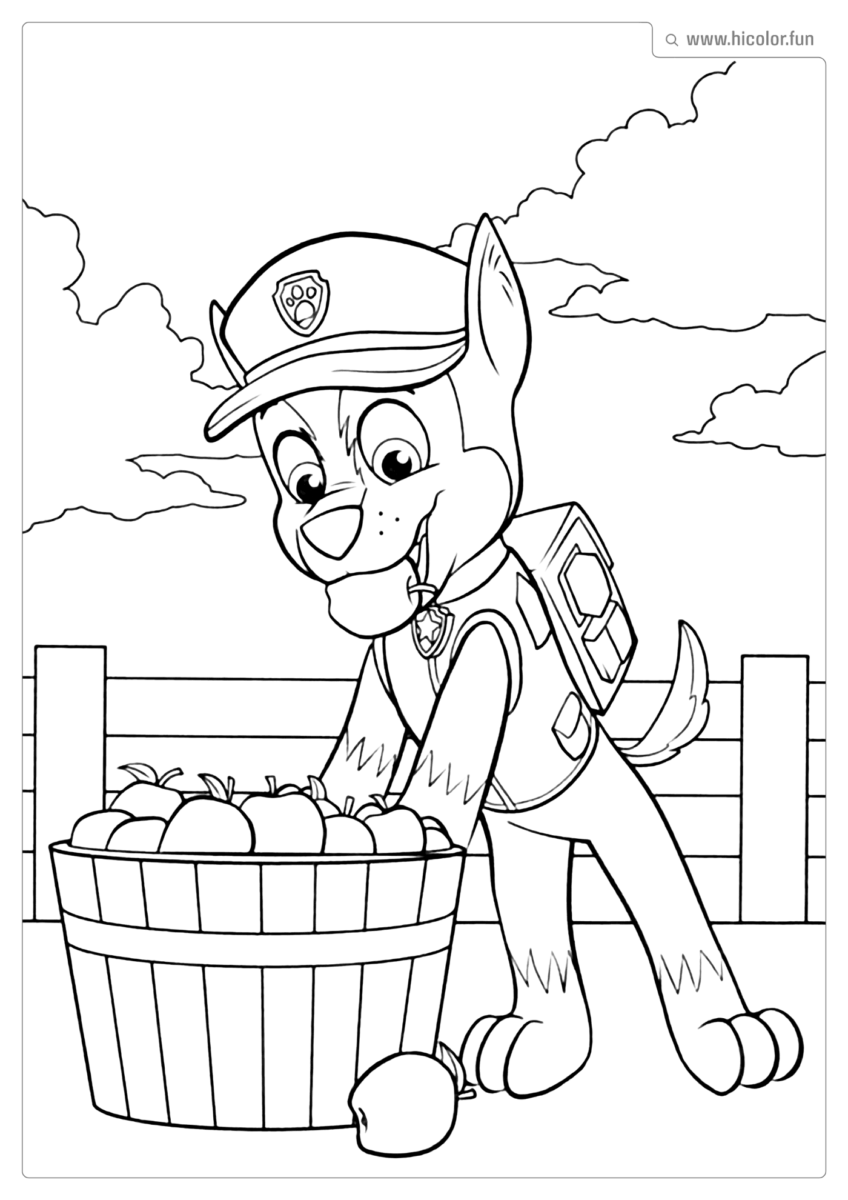 PATRULHA CANINA PARA PINTAR