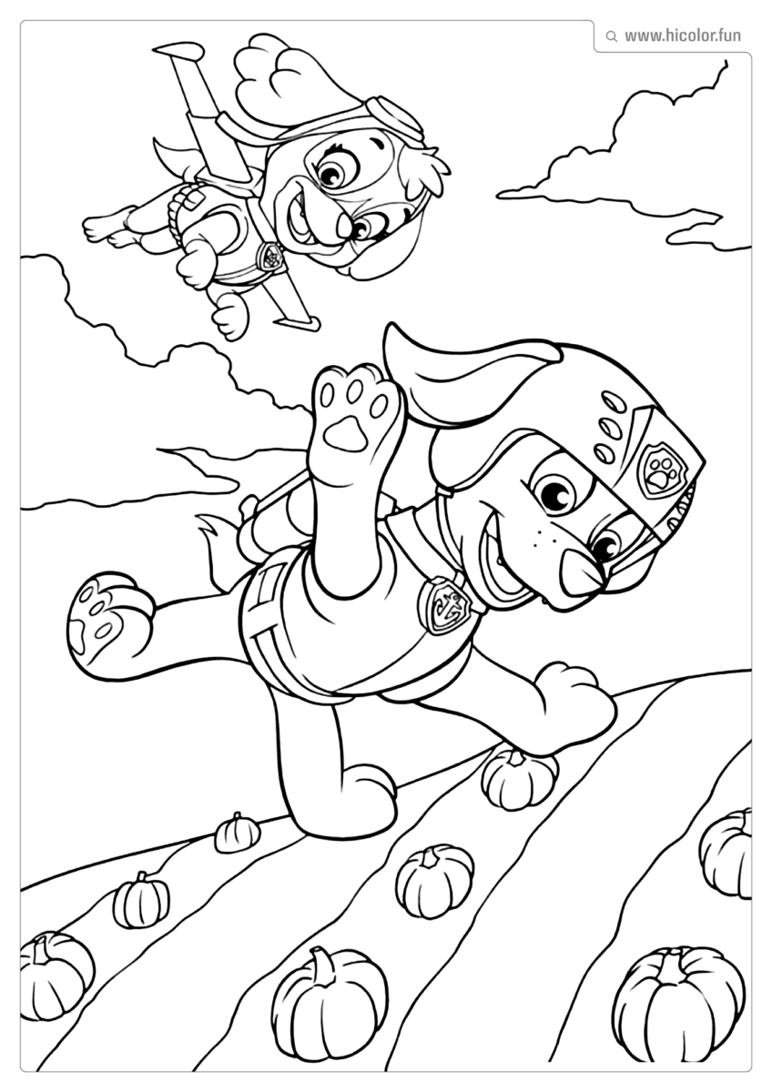 SKYE PATRULHA CANINA COLORIR